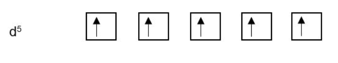 Elec Config 2