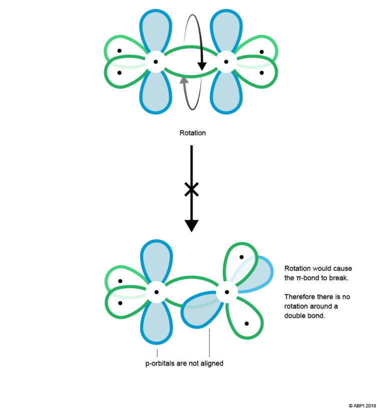 Ethene 6