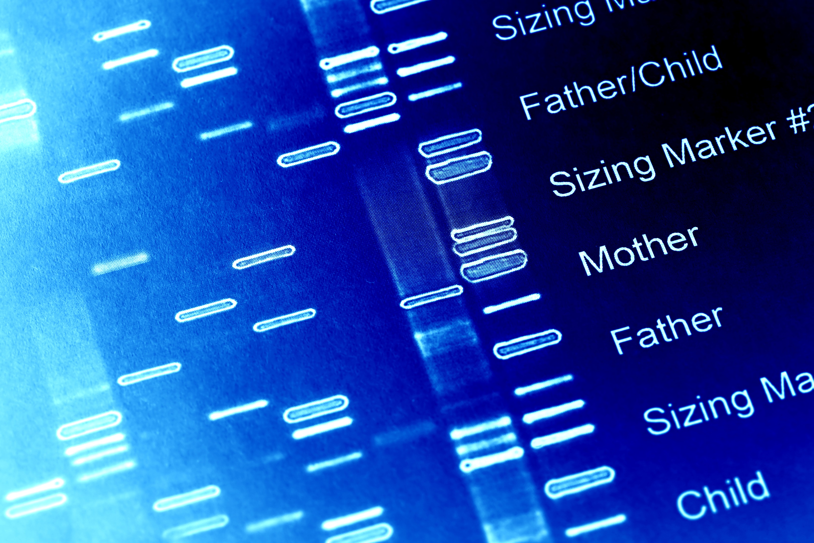 DNA fingerprinting – a major breakthrough in crime detection