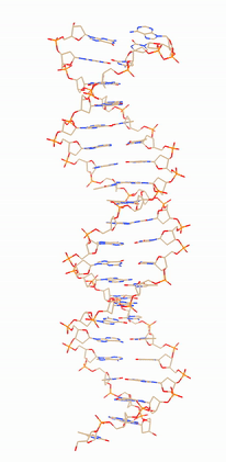 DNA Nosurf