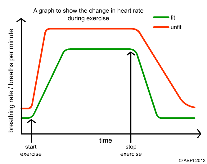 Graph Breathing Rate