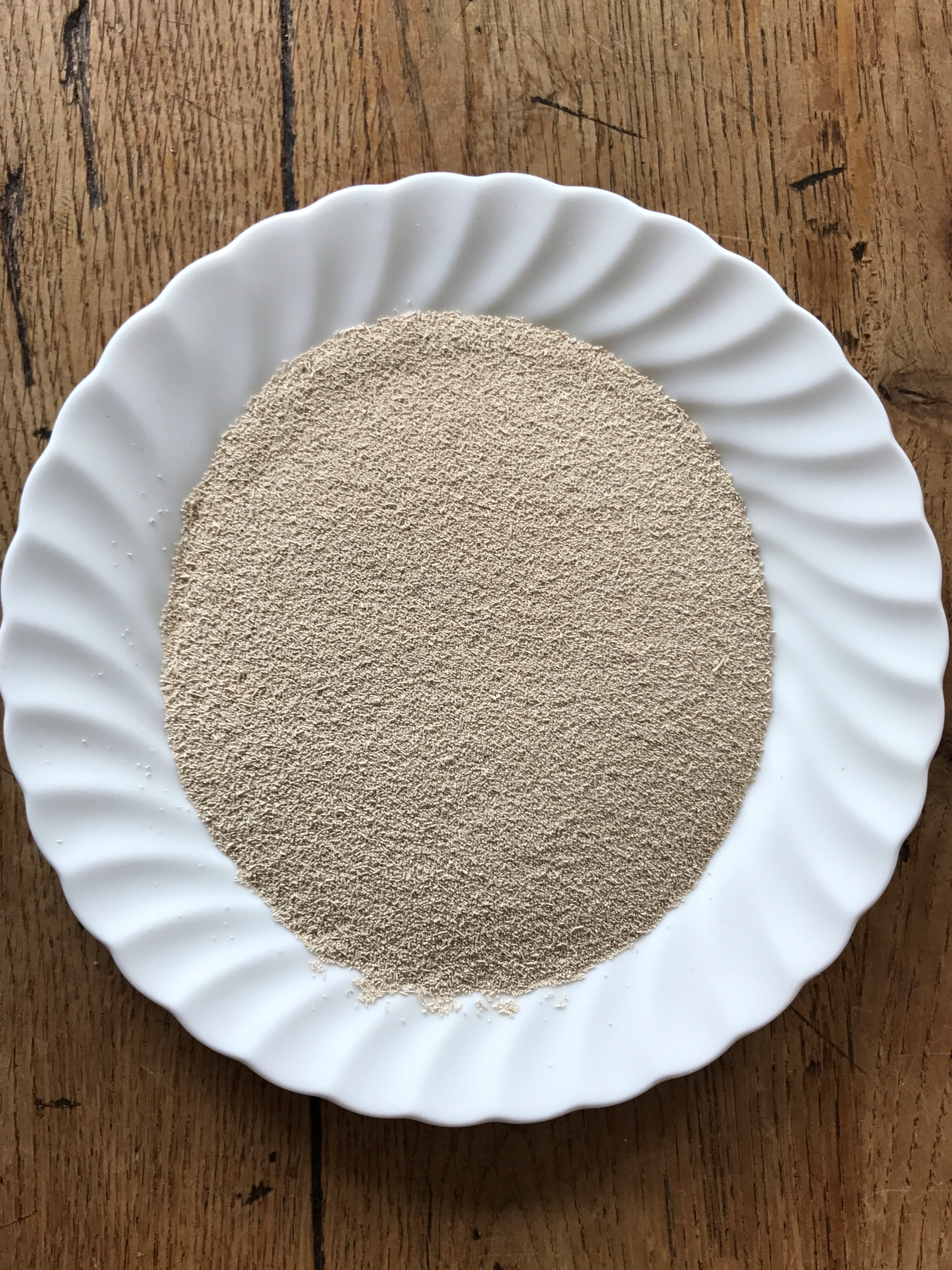 Baker’s yeast - Saccharomyces cerevisiae