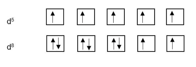 Elec Config 2 1