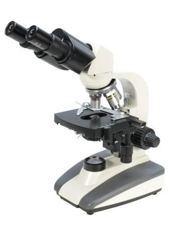 Microscope Image