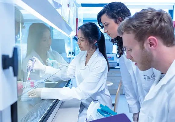 Three young scientists are working with chemicals inside a chemical fume hood