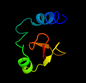 The structure of beta-defensin 4A antimicrobial peptide. This 64 amino acid long human peptide exhibits antibacterial activity.