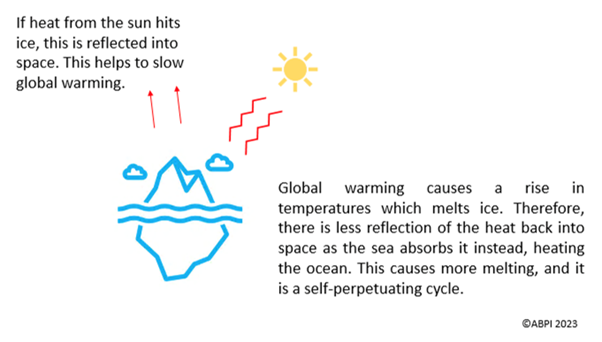 Melting ice caps