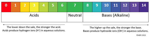 pH scale KS4