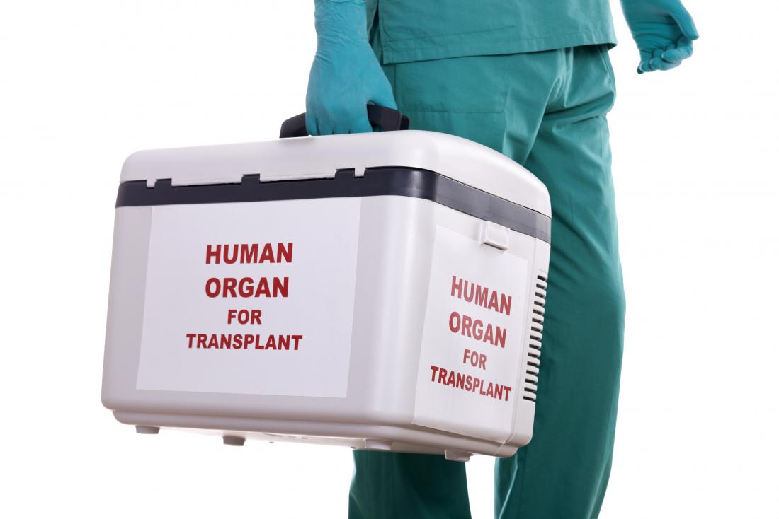 Human Ogan Box