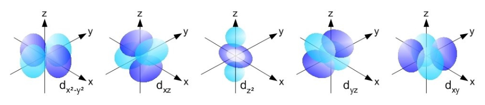 Diff Types Of Orbital 2