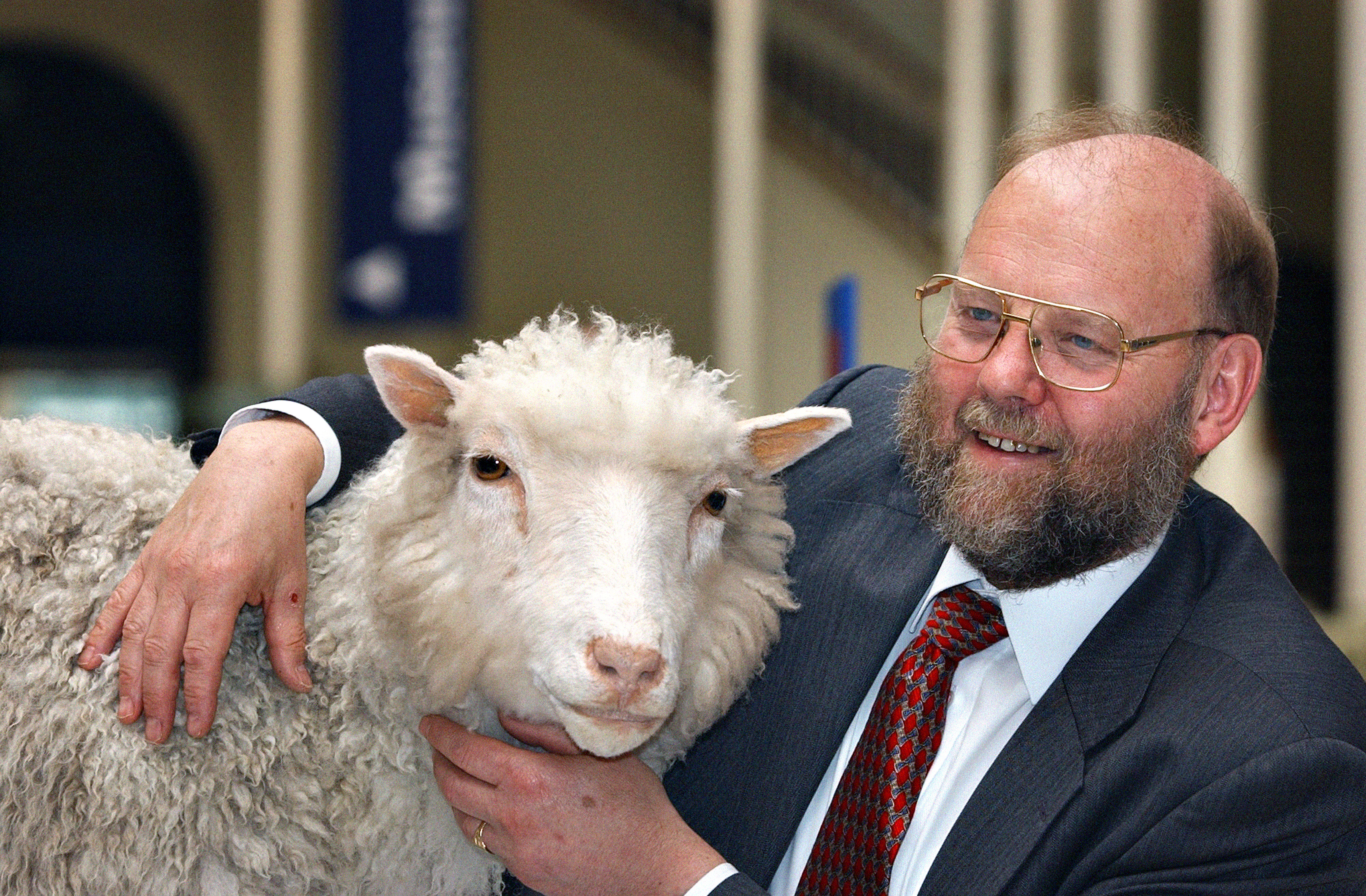 Professor Ian Wilmut with Dolly the sheep – the first mammal cloned from an adult cell