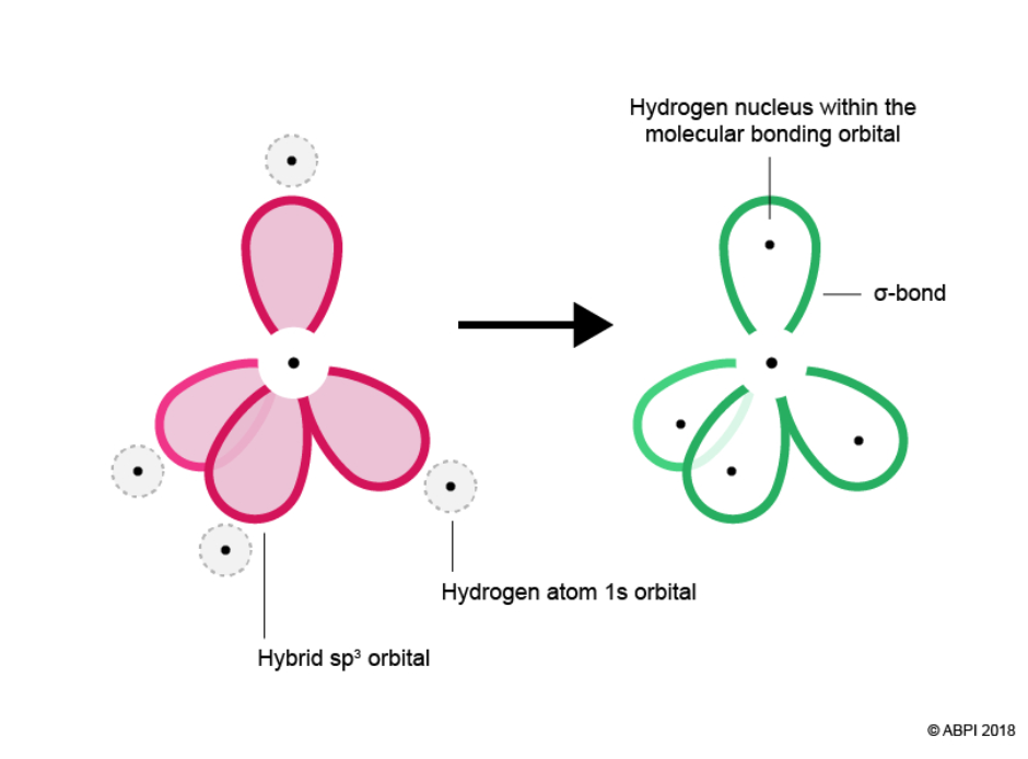 Molecular Orb 5