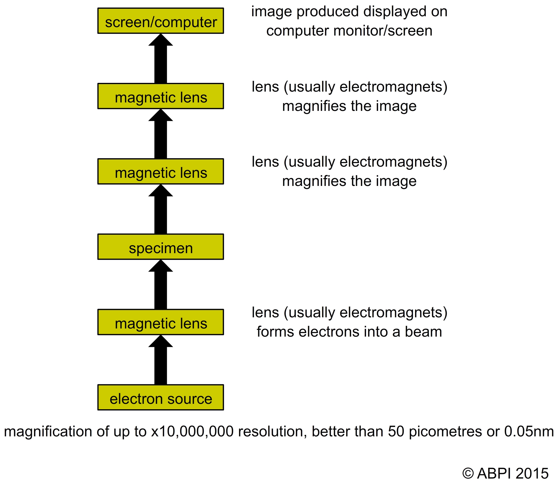 Electron Microscope Flow Chart